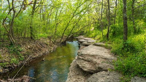 River View background at Tanyard Creek Nature Trail