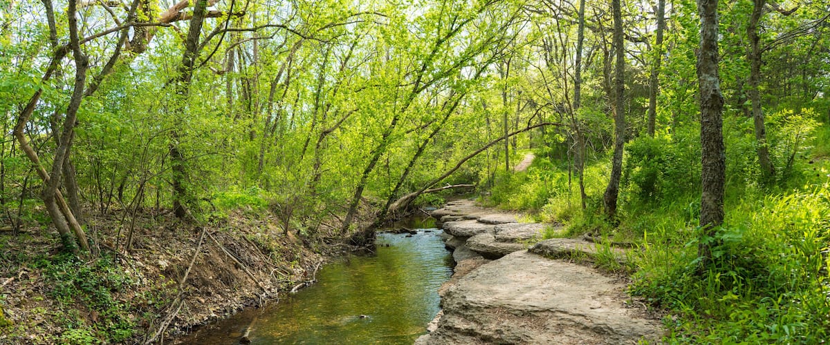 A narrow stream flowing through a forest with large rocks lining the path.