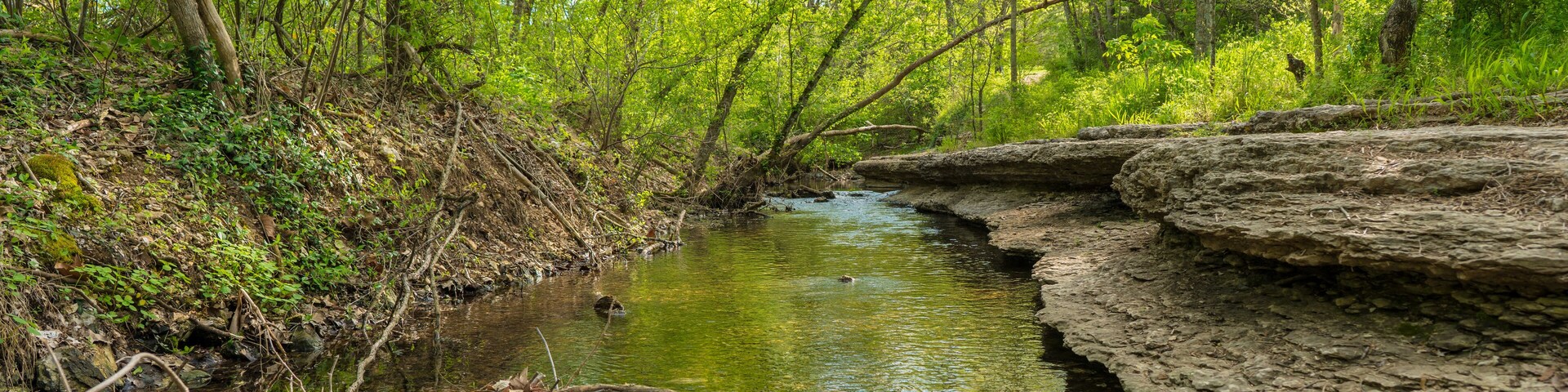 River View at Tanyard Creek Nature Trail