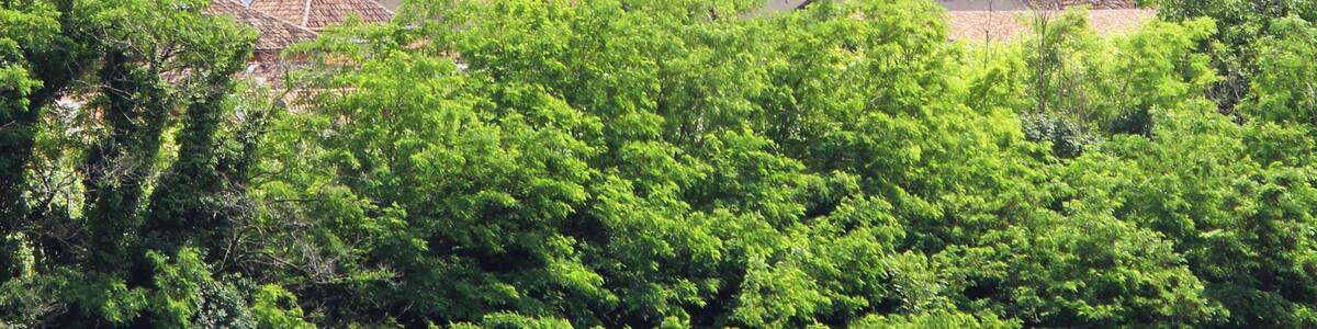 Pfarrkirche St. Pauls (Eppan)