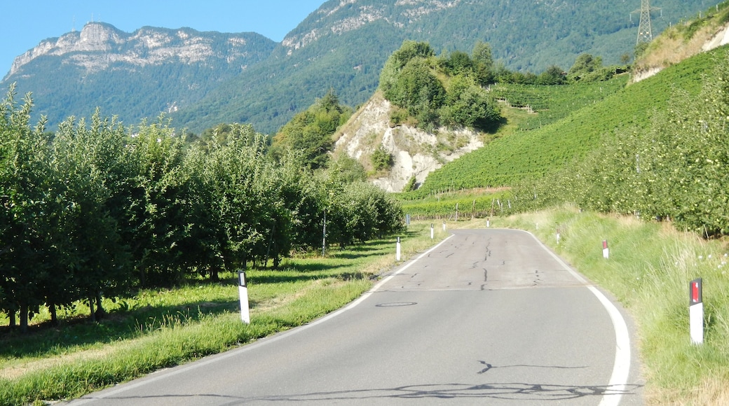 Südtiroler Weinstraße, Via Riva di Sotto