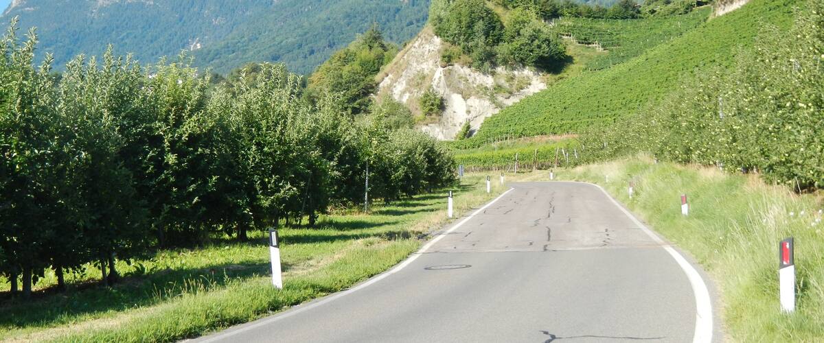 A winding road through a mountainous area with vineyards on the left and a power line tower on the right.