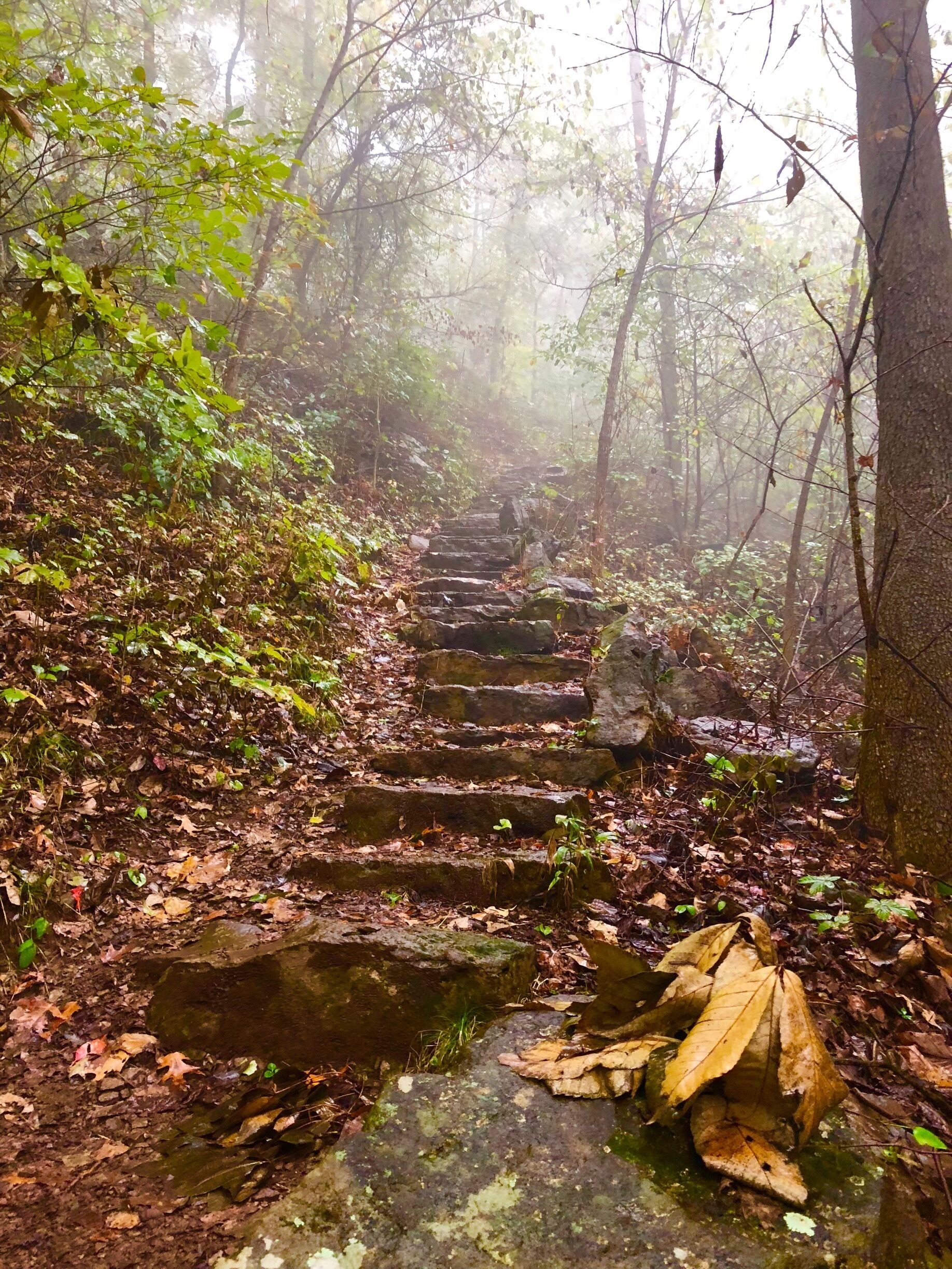 Beautiful day to hike.