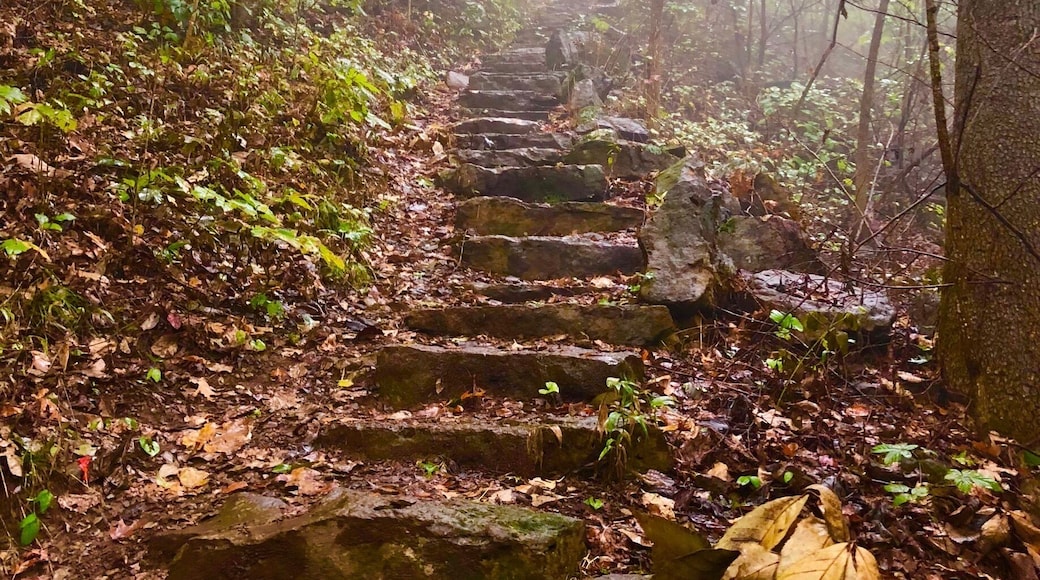 Beautiful day to hike.