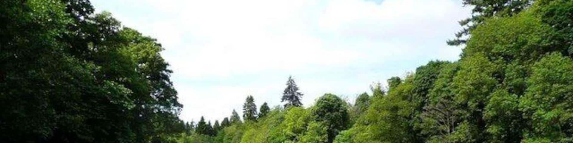 Ready to go Preparing to launch onto the Tay at Grandtully for the paddle to Dunkeld, 21Km downstream. Grandtully is more correctly Grantully (pronounced 'Grantly') but mapping has it with the 'd' and it will probably now stick. After 8 weeks with little or no rain, rivers are low, but the River Tay, fed from Loch Tay, usually hold its level well.