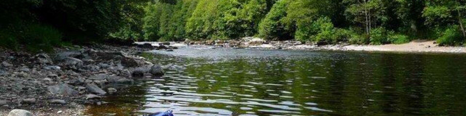A blue kayak on a calm river surrounded by dense green forest.