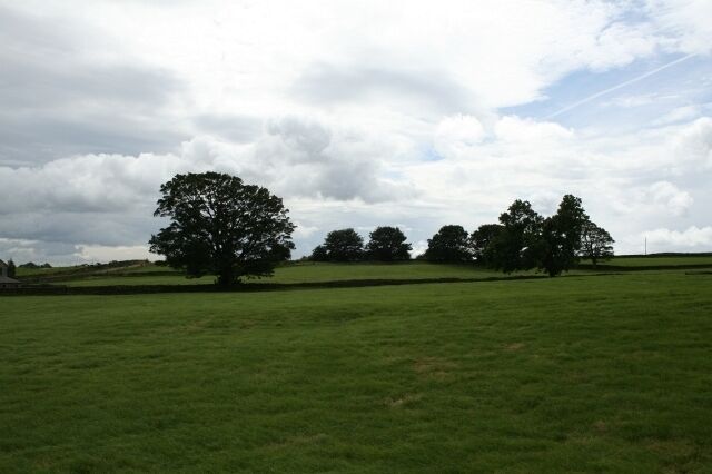 A grassy field with several trees and a cloudy sky.