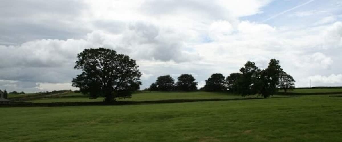 A grassy field with several trees and a cloudy sky.