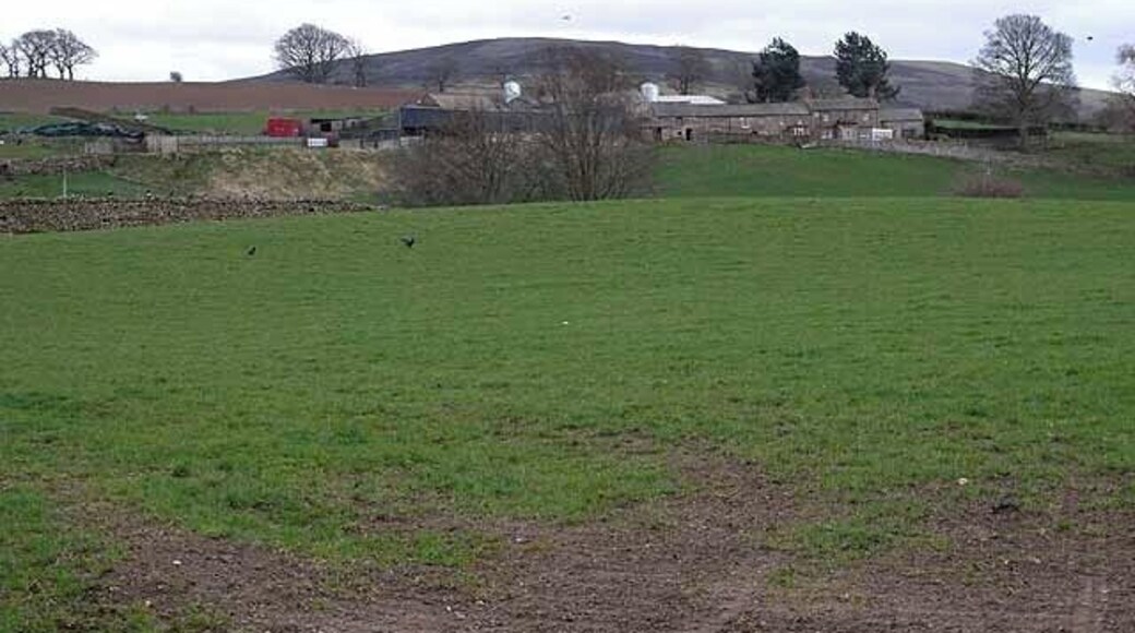 Hillhouse Farm Talkin Fell NY5756 on the skyline.