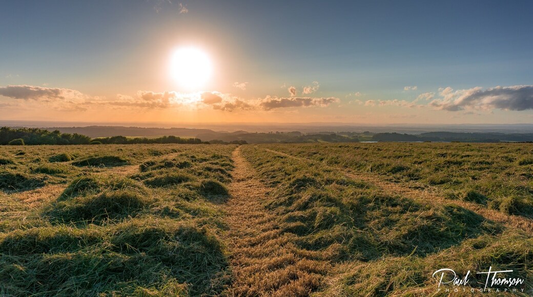 Walk along the fell road above Talkin village and it will yield spectacular views of Talkin Tarn and the Solway Firth in the distance . Love this little gem!
#hiking