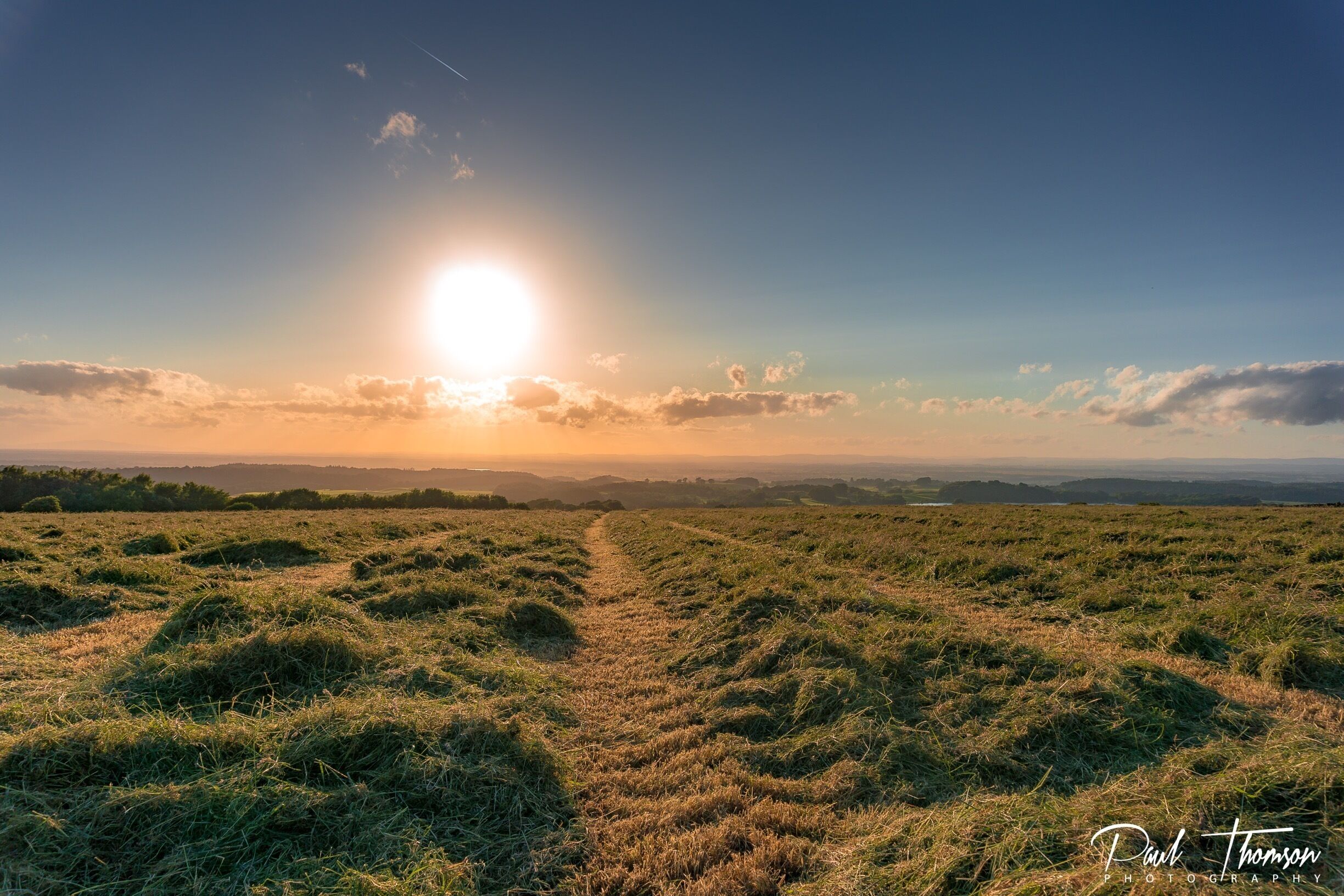A grassy field with a sunlit horizon and distant hills.