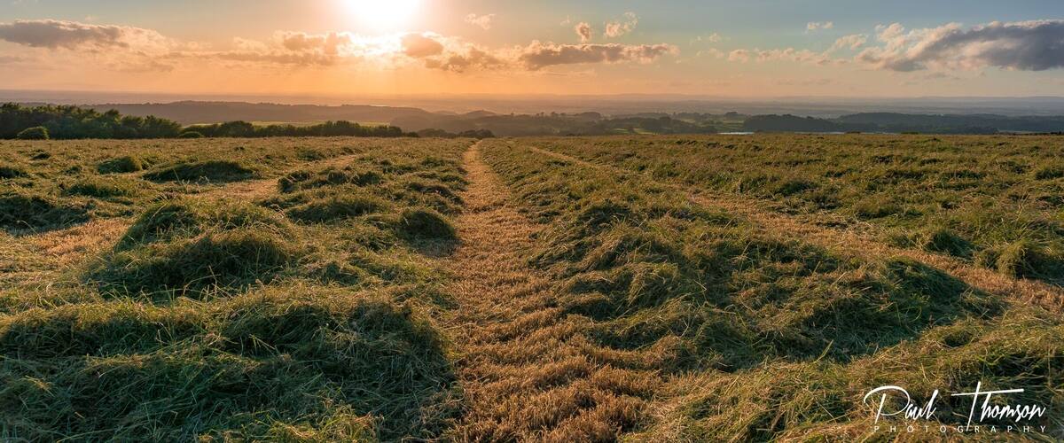 A grassy field with a sunlit horizon and distant hills.
