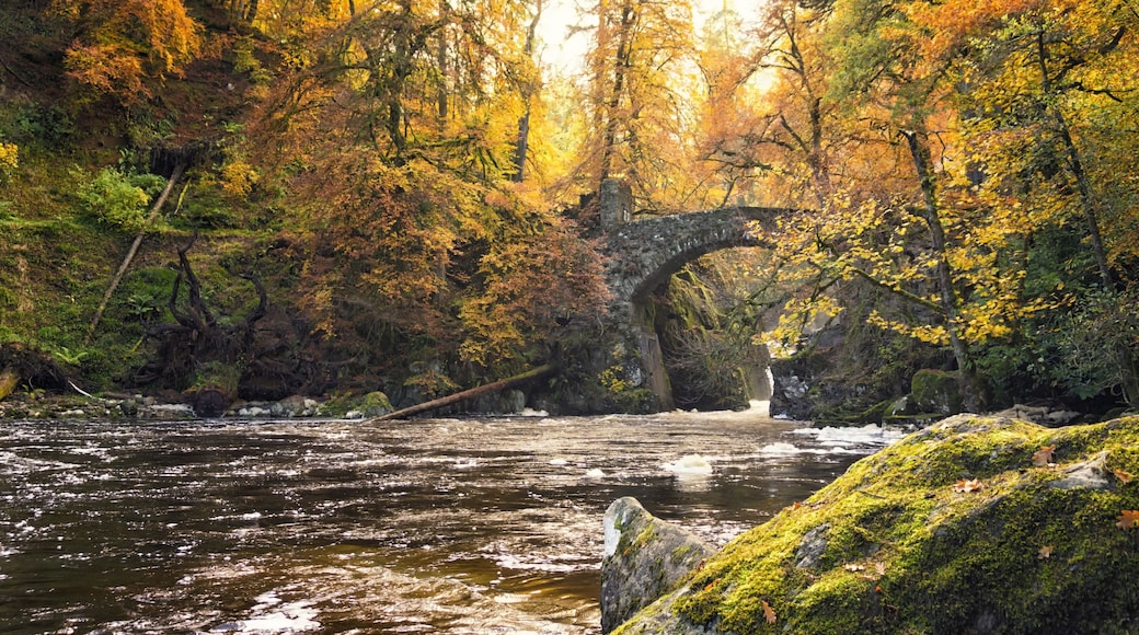 Un río que fluye bajo un puente de piedra rodeado de árboles de colores otoñales.