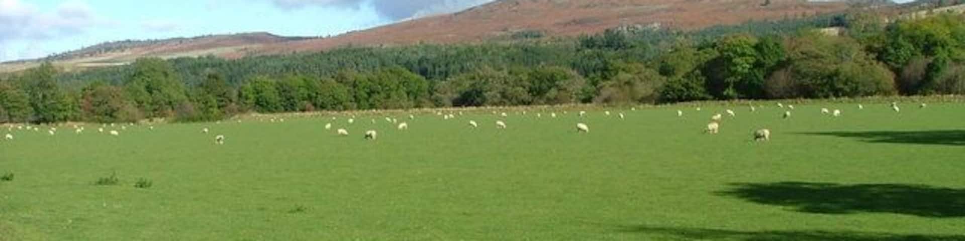 Pasture land at Glenalbert Looking over the Tay valley towards the hills above Guay and Dowally.