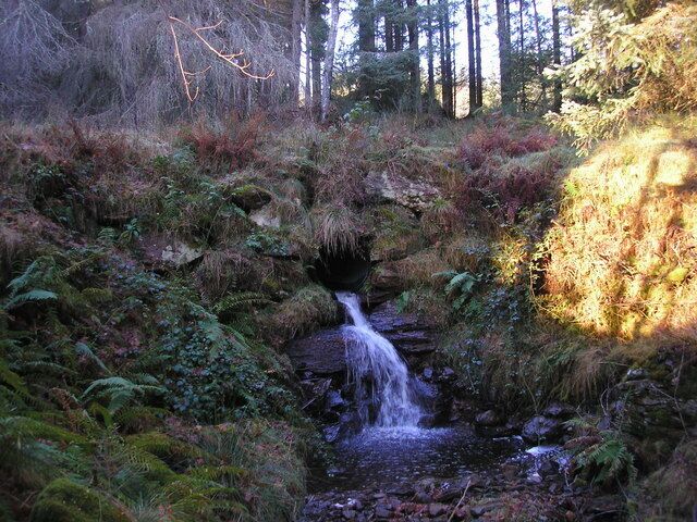 Glenalbert burn The view of the Glenalbert burn as it comes out of a pipe which takes it under the forestry track