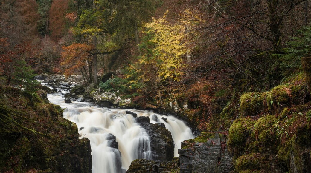 Una cascada fluye sobre rocas cubiertas de musgo en un área boscosa con árboles de colores otoñales.