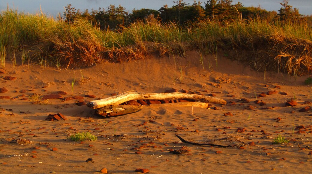 A nice sunset spot at Savage Harbour beach. #beachtips