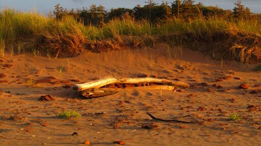 A nice sunset spot at Savage Harbour beach. #beachtips