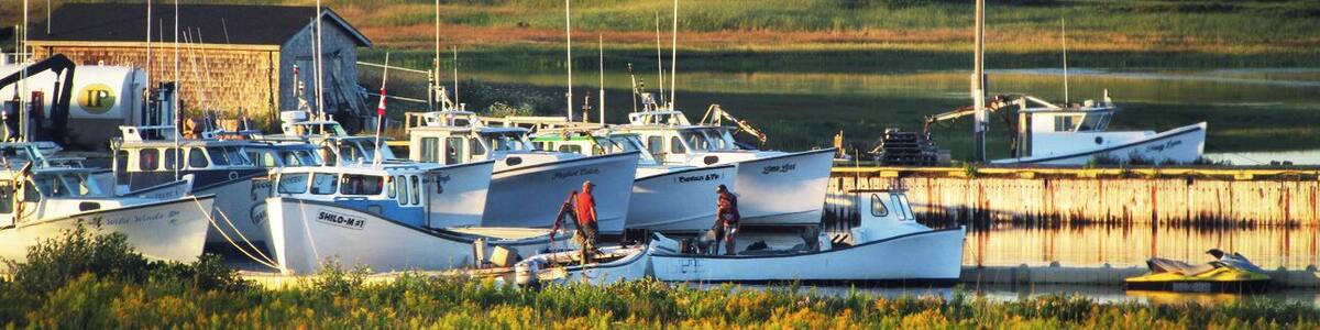 Fishing boats docked at Savage Harbour, the Gulf of St. Lawrence in the background.