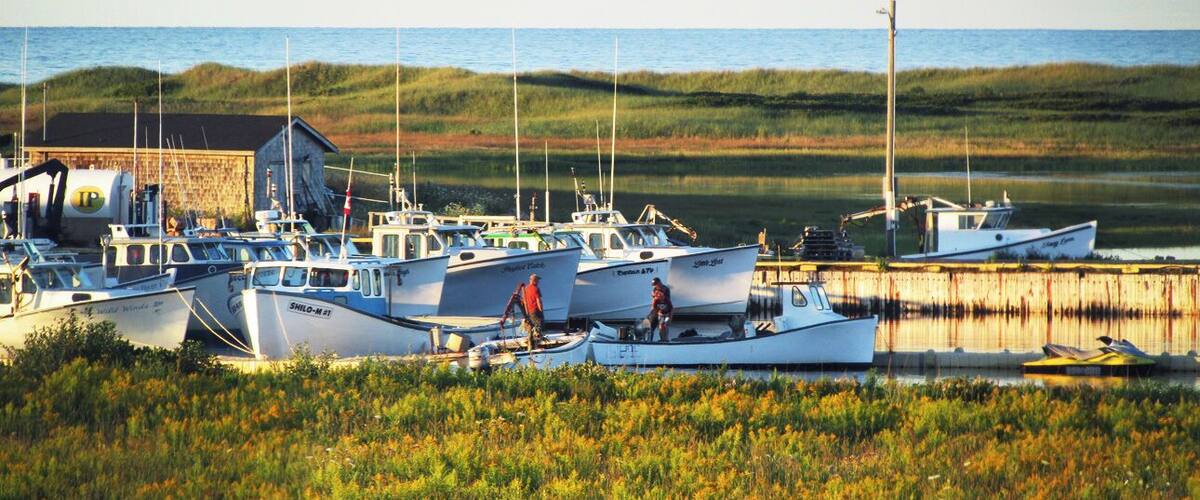 Fishing boats docked at Savage Harbour, the Gulf of St. Lawrence in the background.