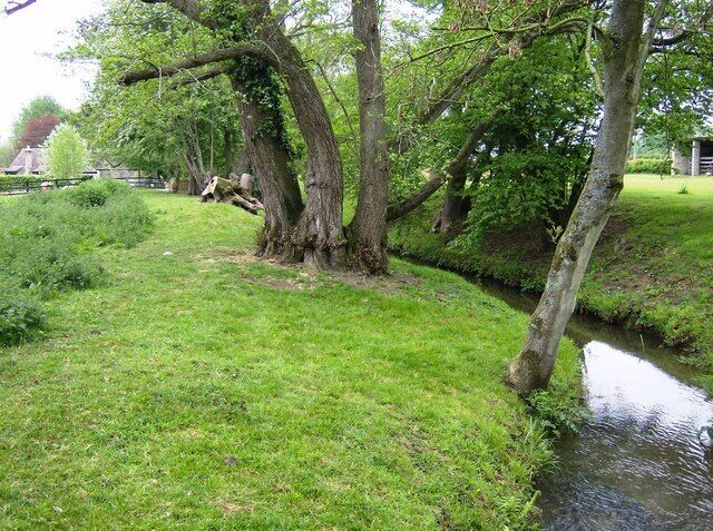 River Cam and alders The public footpath runs along this alder-lined stream seemingly part of someone's garden. Keep going.