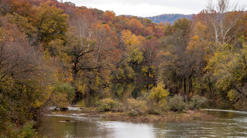 Crooked Creek at Flippin with Fall Colors