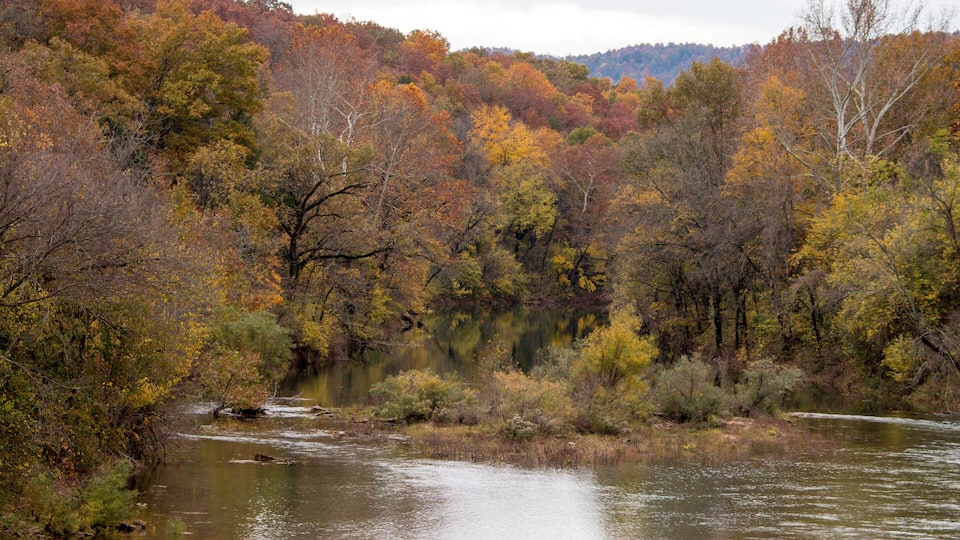 A river surrounded by autumn-colored trees.