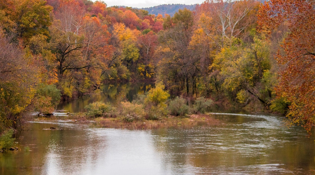 Crooked Creek at Flippin with Fall Colors