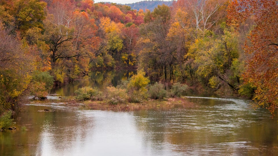 A river surrounded by autumn-colored trees.