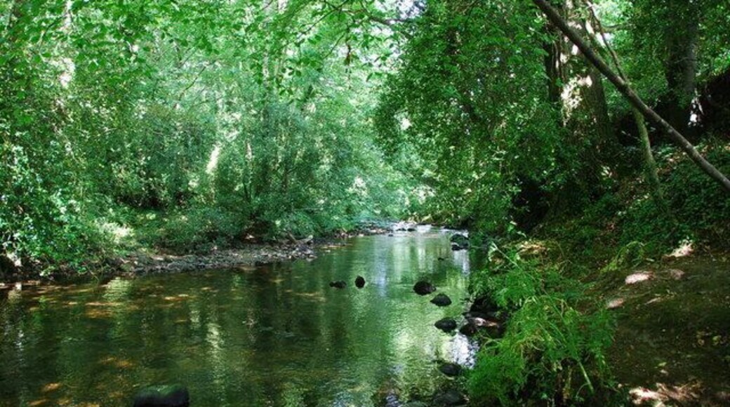 River Erme Just a short distance from Lower Keaton,on the Erme Plym trail. A lovely cool spot on a hot summers day.