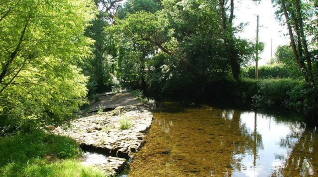 Weir on the Erme Just a short distance from Lower Keaton.The deeper water here is a good spot for watching Brown Trout and other aquatic life.