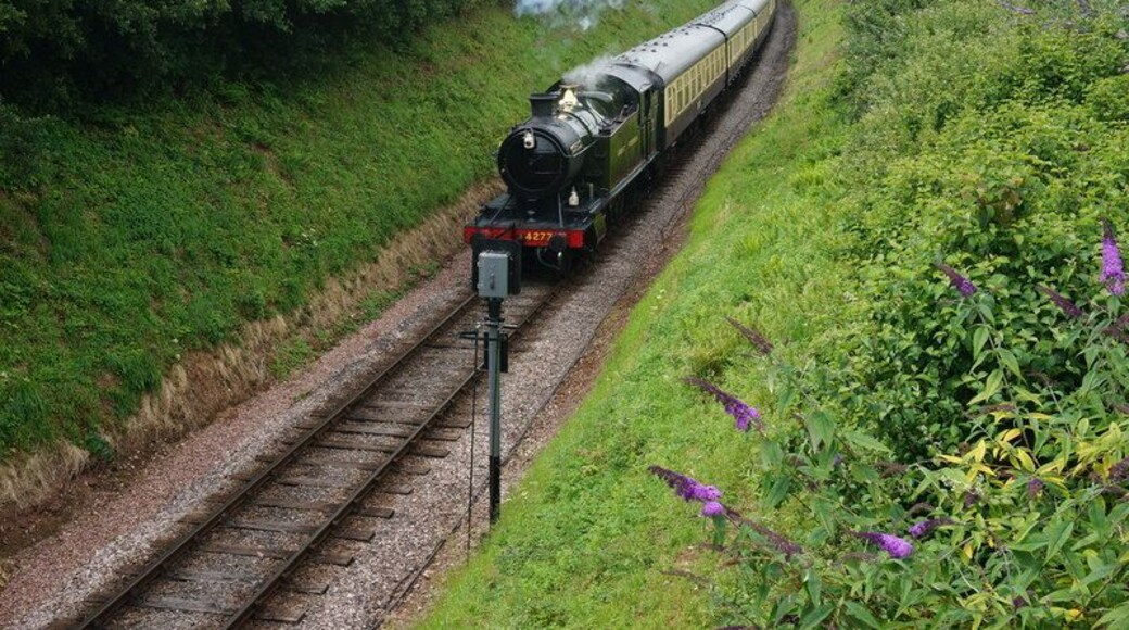 Paignton and Dartmouth Steam Railway. This is ex GWR 4277 2-8-0T building up speed having just pulled away from Greenway Halt, heading towards Paignton.