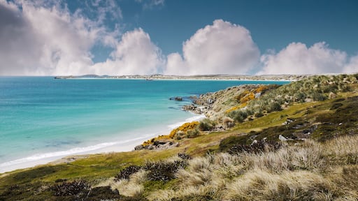 A coastal landscape with a clear blue sea, sandy beach, grassy hills, and rocky outcrops.