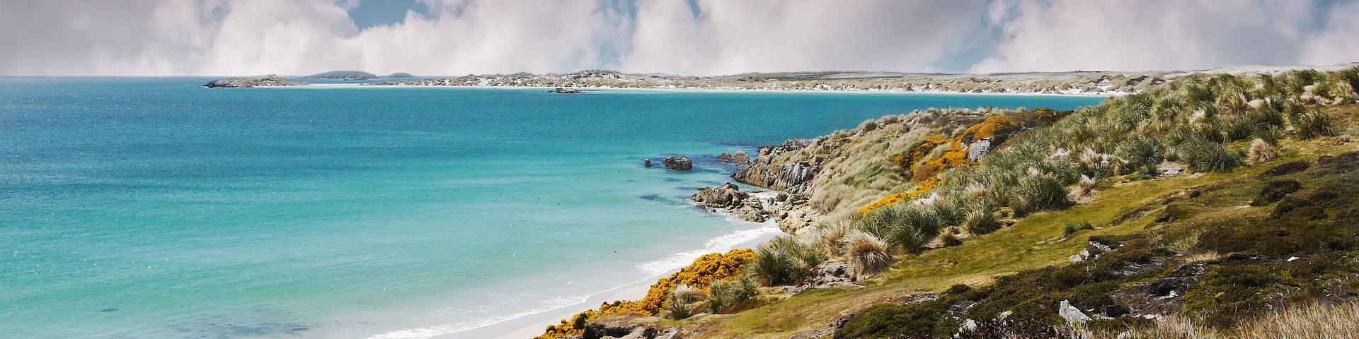 Shoreline of Falkland Islands. White sand beach and turquoise shallow water of Gypsy Cove, East Falkland Island. South Atlantic Ocean. ; Shutterstock ID 705652762; purchase_order: -; Order: -; client: