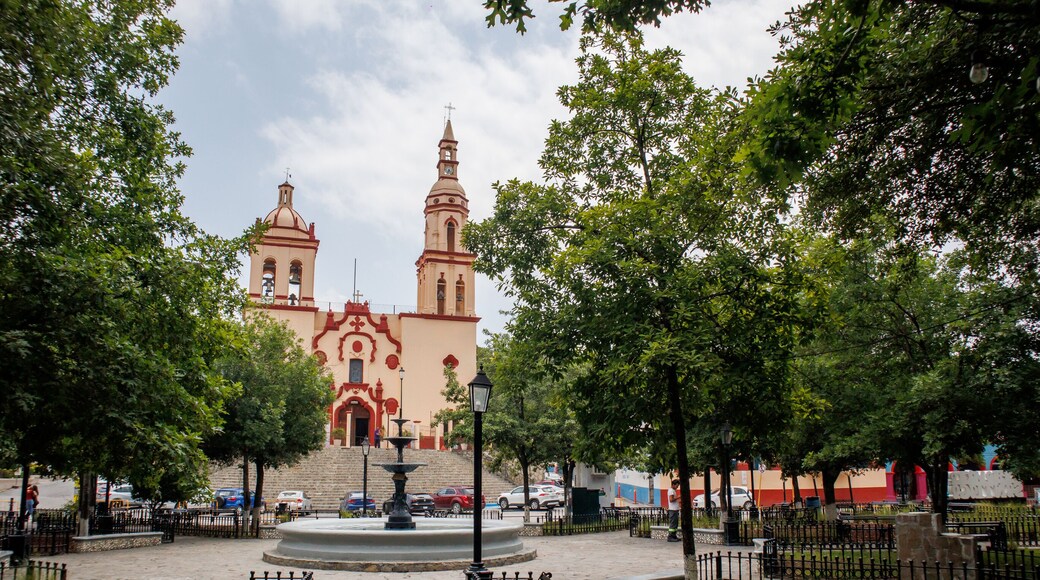 Encarmación de Díaz