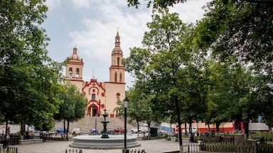 Encarmación de Díaz