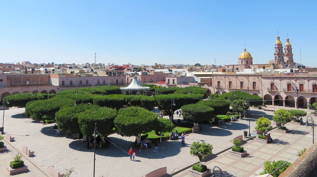 サン ミゲル エル アルト