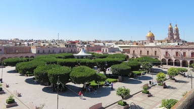 San Miguel el Alto