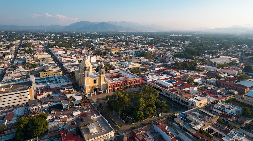 Aerial view of Central Garden at Colima, Colima. México.