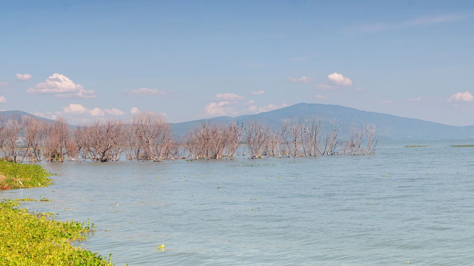 A calm lake with a distant mountain range, a green boat on the shore, and sparse vegetation along the water's edge.