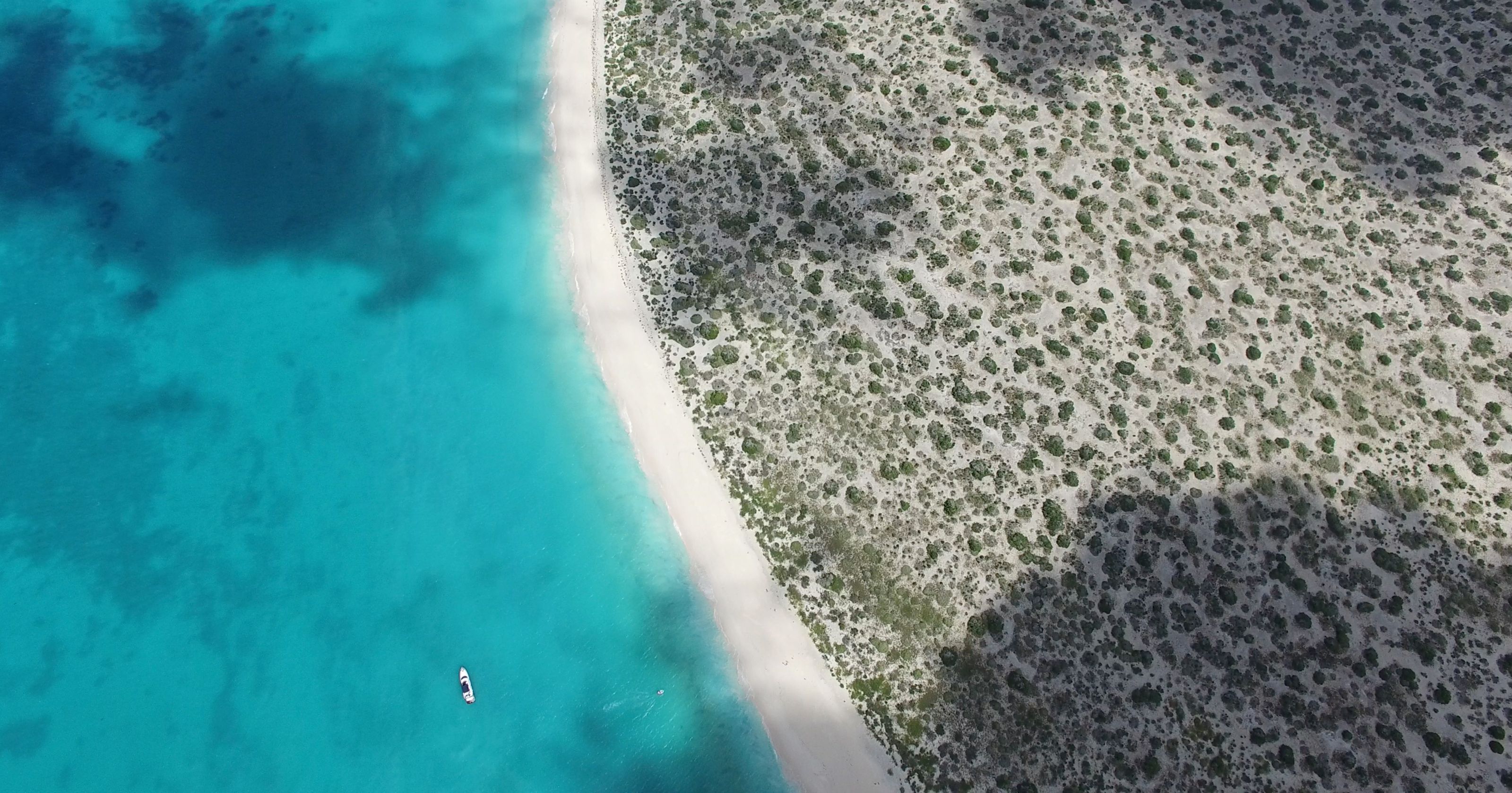 A coastal landscape with a sandy beach and scattered vegetation.