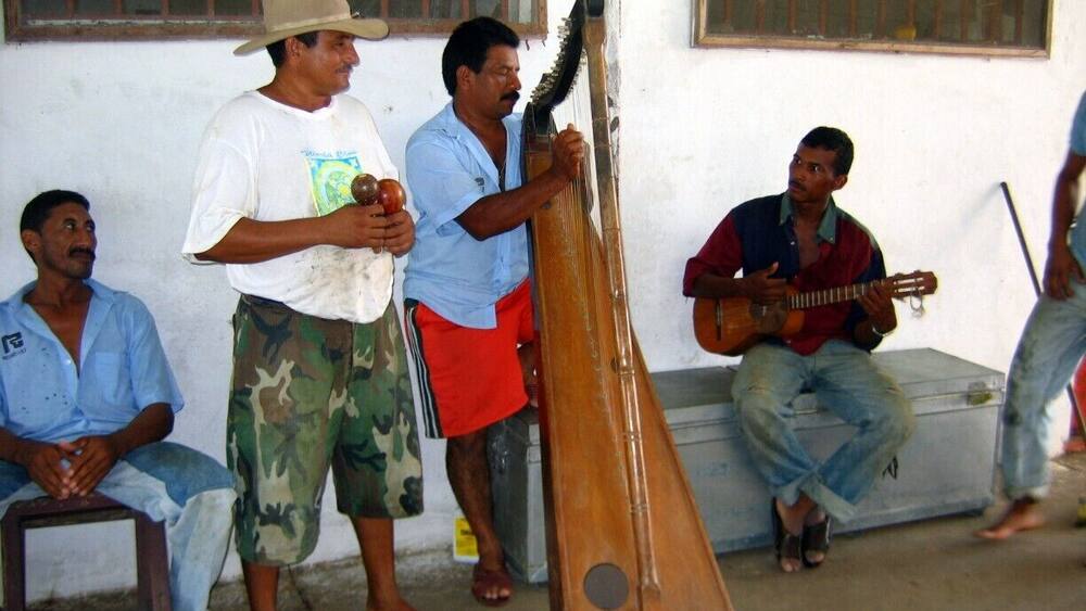 In the plains of Venezuela (Los Llanos) stay with Don Ramon and his family on their cattle ranch, Rancho Grande. He was one of the first to open his home to travelers, and he's the real thing. The ranch is located in Modulos de Mantecal, several hours north of the town of Mantecal, closer to Puerto Nutria. Rooms are simple, most are hammocks; all have shared bath. Treks out onto the plains on horseback or with Don Ramon in his pickup will include spotting anaconda, sloths, anteaters, capybara and cows of course. On other outings by boat you might spot the pink river dolphin. Really. This is Discovery Channel/Animal Planet stuff. Be sure to enjoy local llanera or joropo music. It's amazing what can be done with a harp!