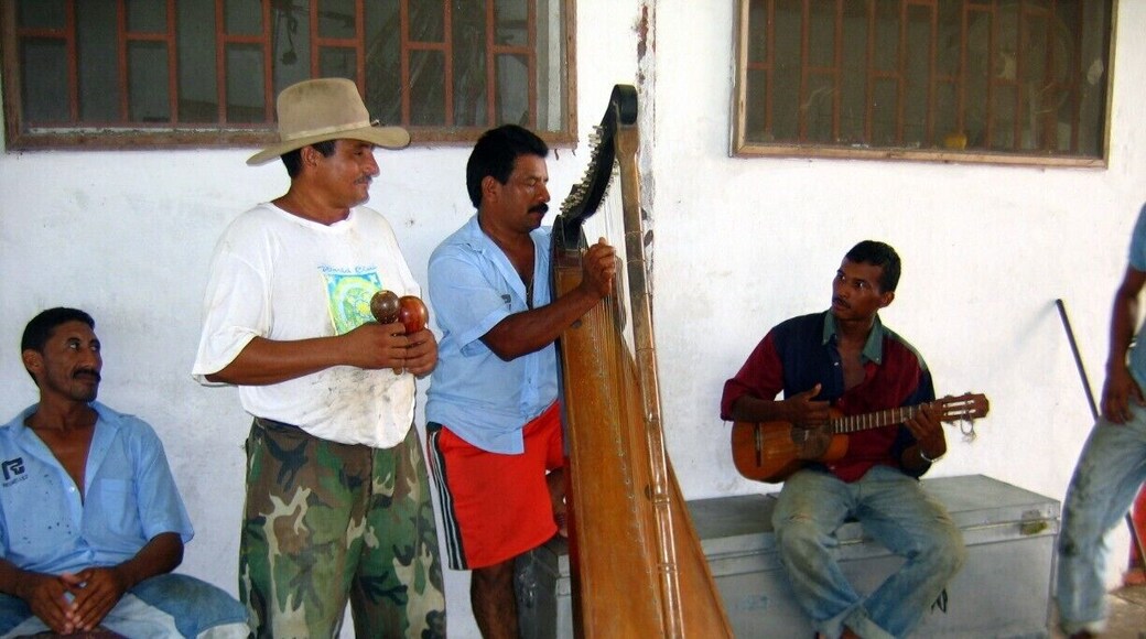 In the plains of Venezuela (Los Llanos) stay with Don Ramon and his family on their cattle ranch, Rancho Grande. He was one of the first to open his home to travelers, and he's the real thing. The ranch is located in Modulos de Mantecal, several hours north of the town of Mantecal, closer to Puerto Nutria. Rooms are simple, most are hammocks; all have shared bath. Treks out onto the plains on horseback or with Don Ramon in his pickup will include spotting anaconda, sloths, anteaters, capybara and cows of course. On other outings by boat you might spot the pink river dolphin. Really. This is Discovery Channel/Animal Planet stuff. Be sure to enjoy local llanera or joropo music. It's amazing what can be done with a harp!