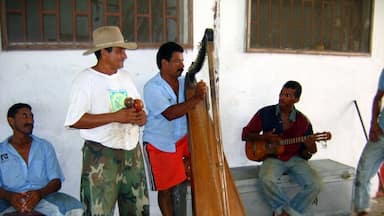 In the plains of Venezuela (Los Llanos) stay with Don Ramon and his family on their cattle ranch, Rancho Grande. He was one of the first to open his home to travelers, and he's the real thing. The ranch is located in Modulos de Mantecal, several hours north of the town of Mantecal, closer to Puerto Nutria. Rooms are simple, most are hammocks; all have shared bath. Treks out onto the plains on horseback or with Don Ramon in his pickup will include spotting anaconda, sloths, anteaters, capybara and cows of course. On other outings by boat you might spot the pink river dolphin. Really. This is Discovery Channel/Animal Planet stuff. Be sure to enjoy local llanera or joropo music. It's amazing what can be done with a harp!