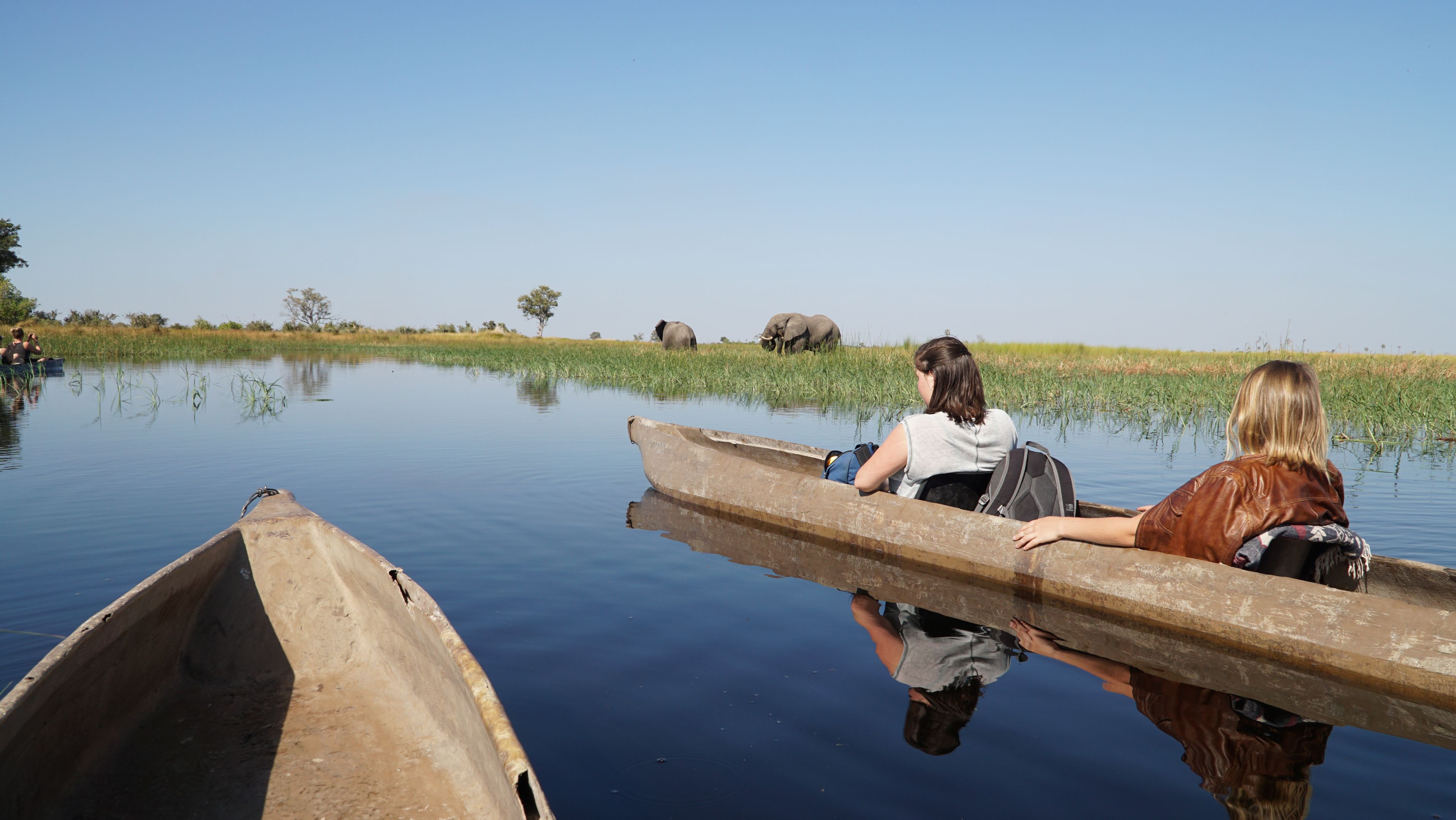 A group of people in a canoe on a calm body of water, with elephants in the background.