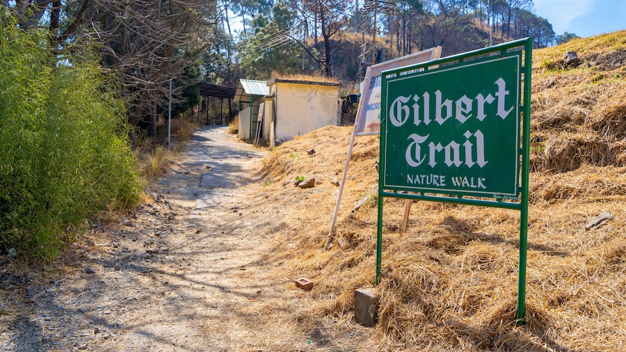A dirt path leading to a sign for Gilbert Trail Nature Walk.