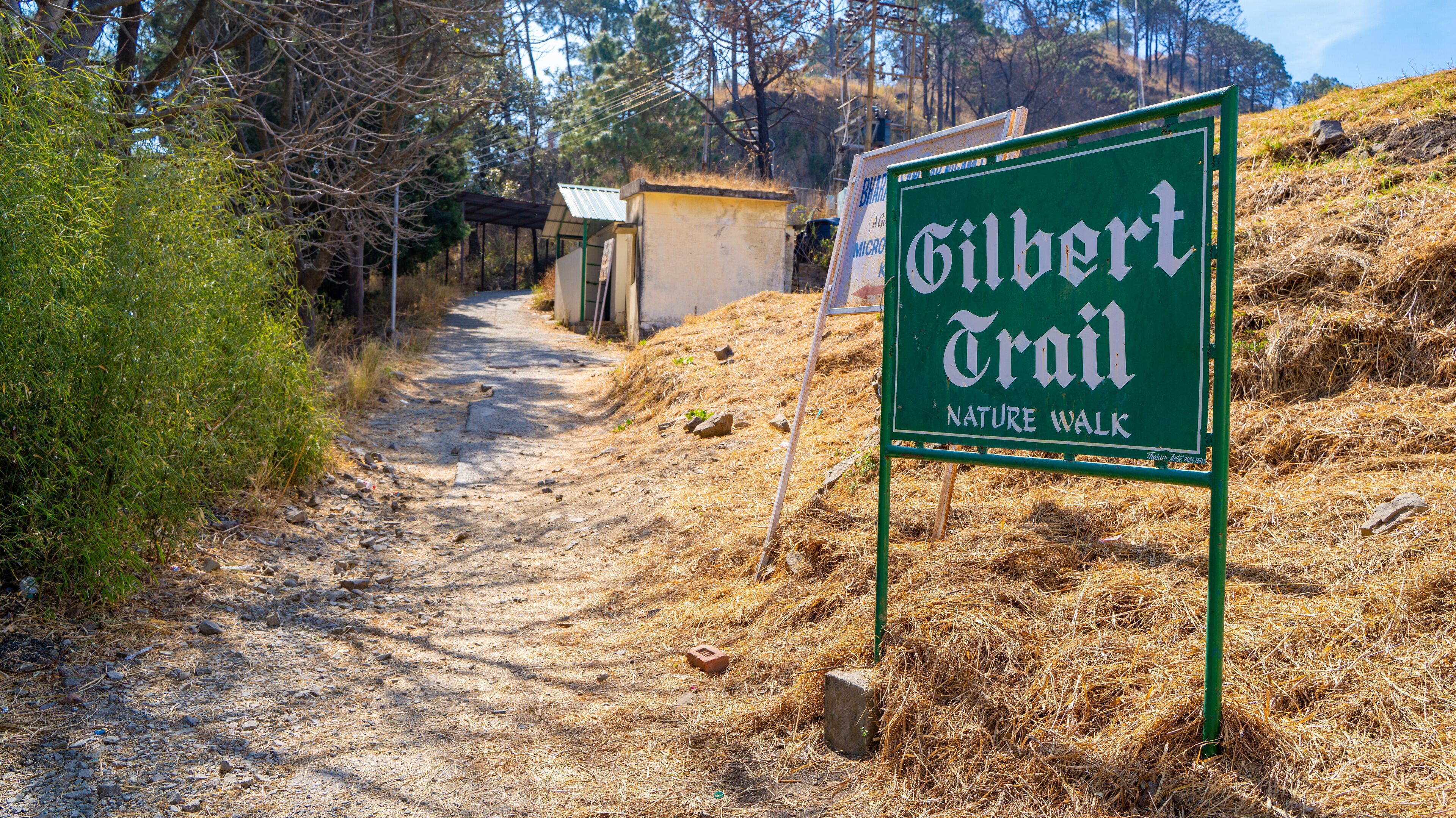 A dirt path leading to a sign for Gilbert Trail Nature Walk.
