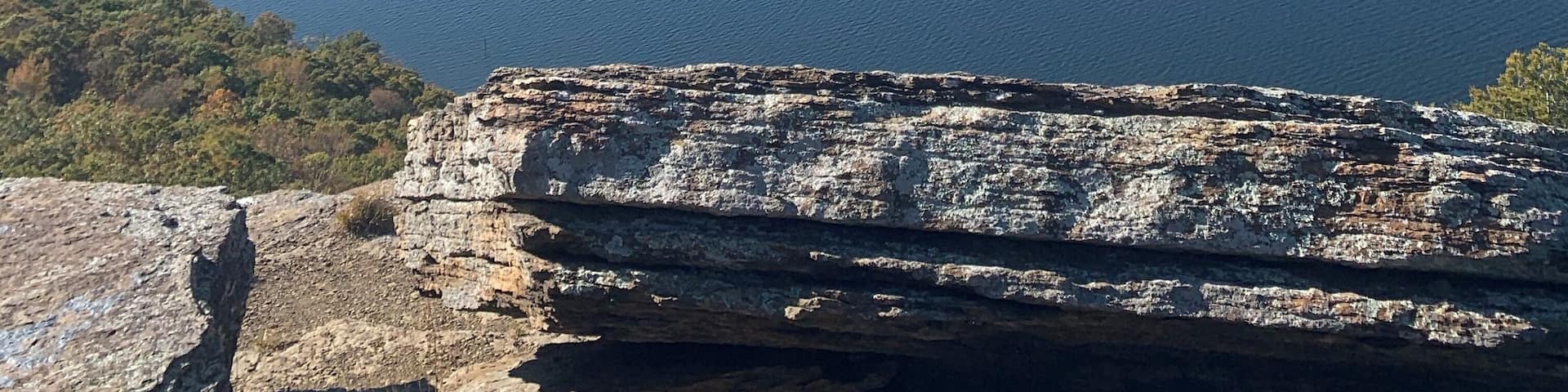 Made it to the top with 6 kids 🤪