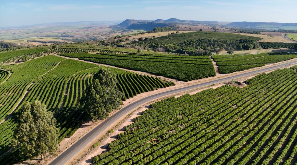 Agriculture Field In Cassia Dos Coqueiros Sao Paulo Brazil. Birds Eye View Of Cultivation Field In The Farming Scenery. Road Valley Country Stunning. Road Field. Cassia dos Coqueiros Sao Paulo.