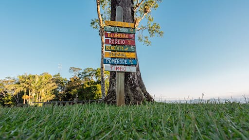 Árvore com Placa de madeira colorida indicando a direção de outras cidades de Santa Catarina por quilômetro de distância.